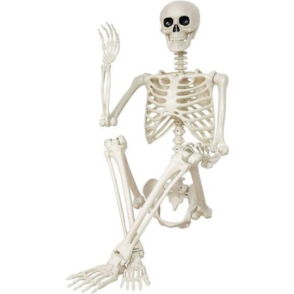 Halloween Skeleton Decorations,36" Posable Human Skeleton Decorations - Picture 8 of 8